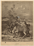 Image ID 823905