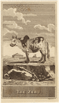 Image ID 823909