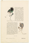 Image ID 823923