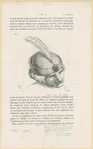 Image ID 823944