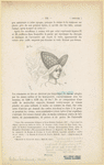 Image ID 823950