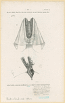 Image ID 823958