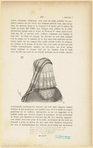Image ID 823976