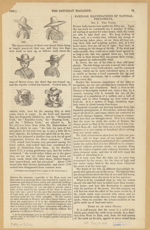 Image ID 823990
