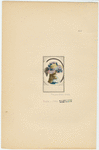 Image ID 824018
