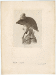 Image ID 824059