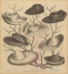 Image ID 824096