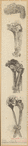 Image ID 824097