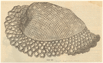 Image ID 824102
