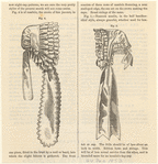 Image ID 824110