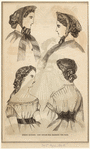 Image ID 824115