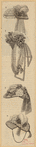 Image ID 824129