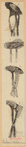 Image ID 824130