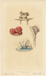Image ID 824137