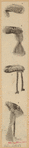 Image ID 824138