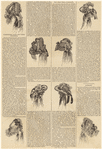 Image ID 824152