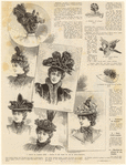 Image ID 824154
