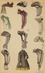 Image ID 824163