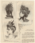 Image ID 824167