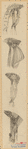 Image ID 824182