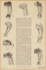 Image ID 824187