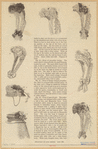 Image ID 824187