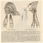 Image ID 824196