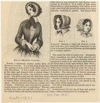 Image ID 824248