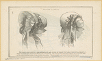 Image ID 824325