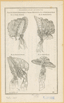 Image ID 824332