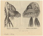 Image ID 824349