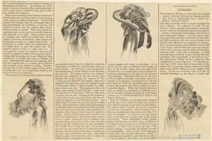 Image ID 824351