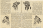 Image ID 824351