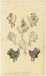 Image ID 824360
