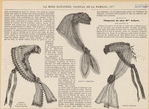 Image ID 824416
