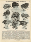 Image ID 824435