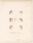 Image ID 824549