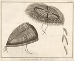 Image ID 824596