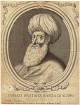 Image ID 824632
