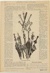 Image ID 824668
