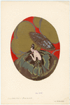 Image ID 824722