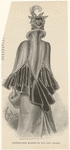 Image ID 824820
