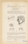Image ID 824925