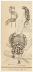 Image ID 825029
