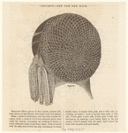Image ID 825050
