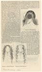 Image ID 825074