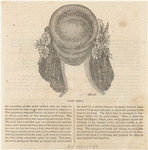 Image ID 825124