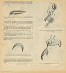 Image ID 825158