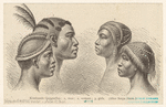 Image ID 825233