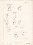Image ID 825267
